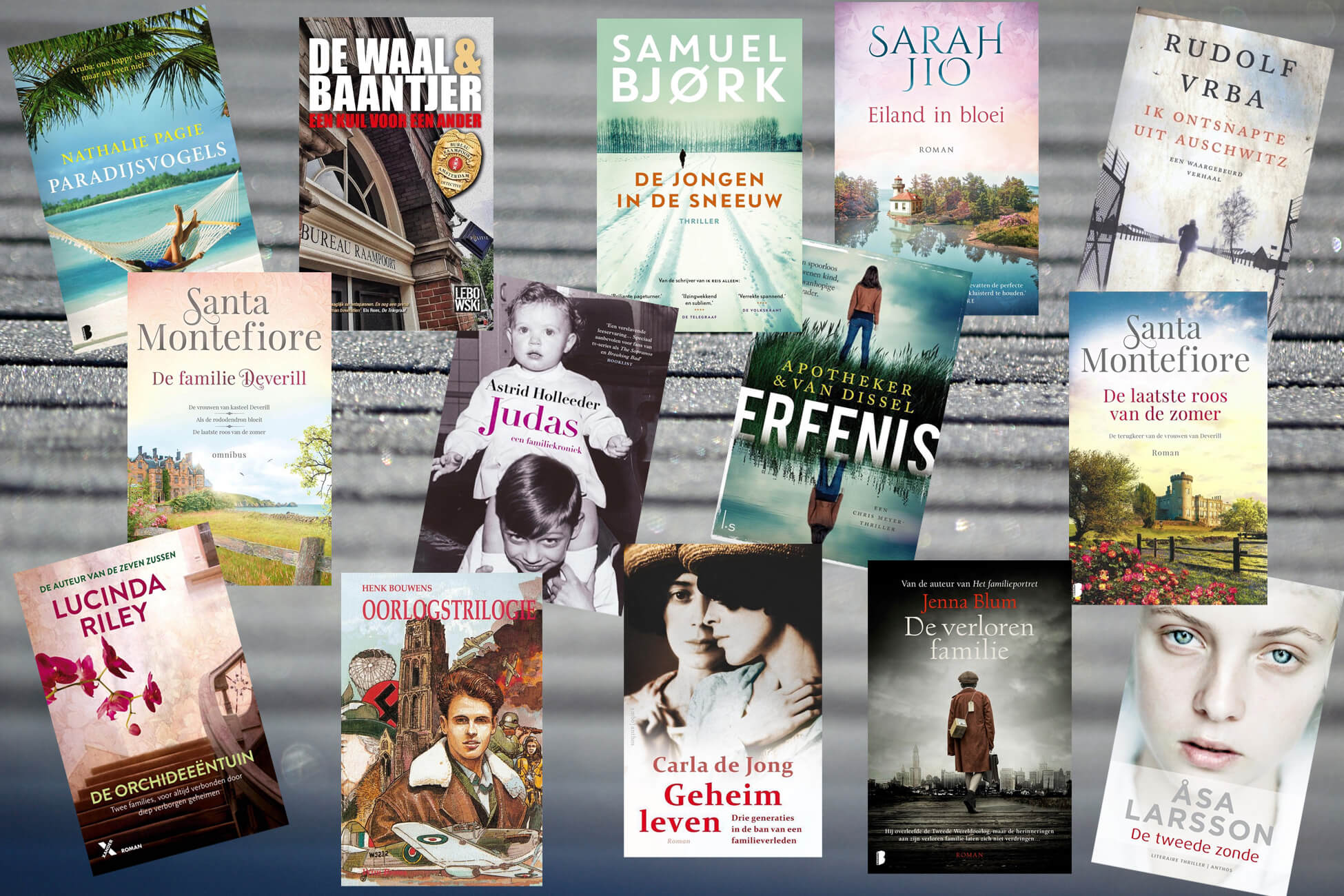 De door mij gelezen boeken in 2019