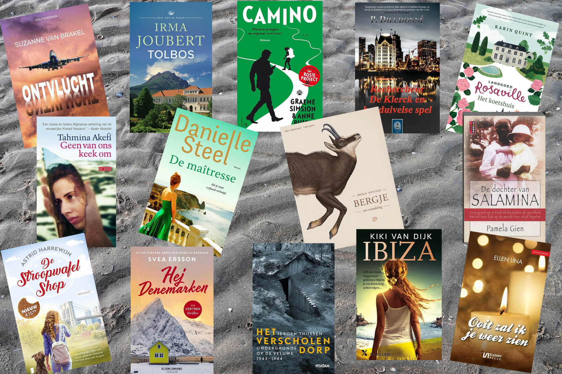 De door mij gelezen boeken in 2022