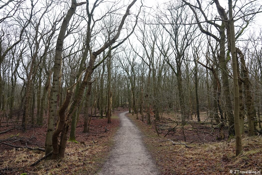 Een wandelpad tijdens de gele wandelroute Oranjekom vanaf ingang Oase in de Amsterdamse Waterleidingduinen