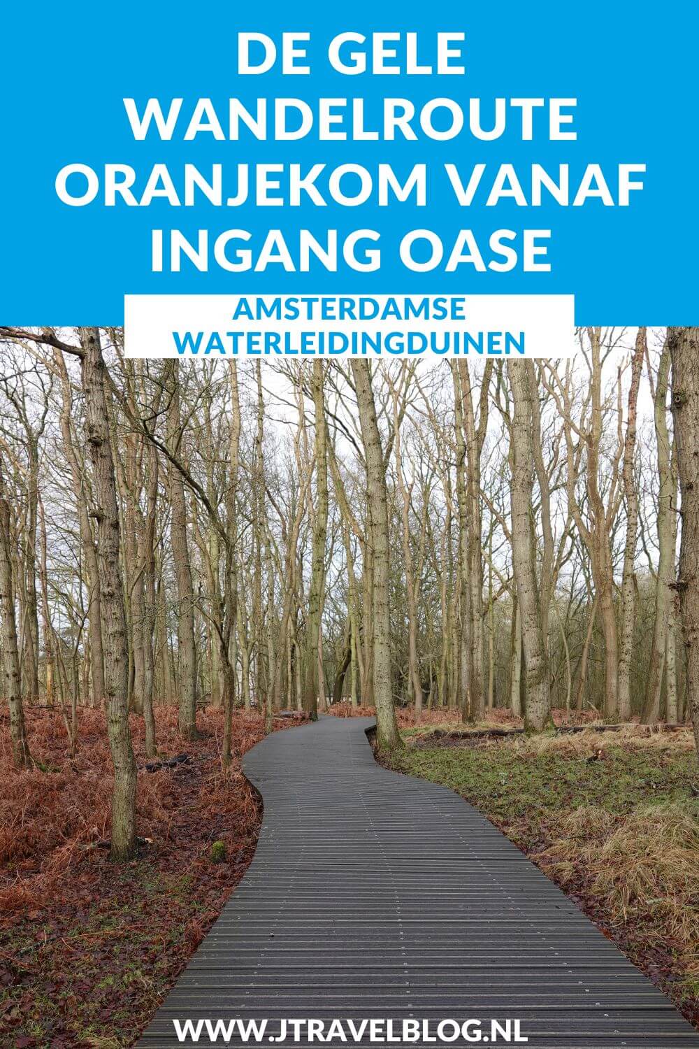Ik liep de gele wandelroute Oranjekom vanaf ingang Oase in de Amsterdamse Waterleidingduinen. Deze wandeling maak ik aan de hand van de oranje routepaaltjes over een afstand van 3,7 kilometer. Mijn route en de achtergronden lees je in deze blog. #oranjekom #ingangoase #amsterdamsewaterleidingduinen #awd #wandelen #jtravel #jtravelblog