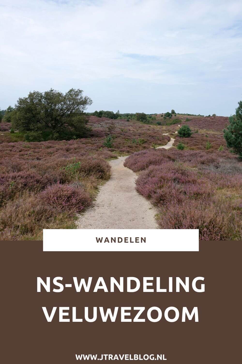 Ik maakte de NS-wandeling Veluwezoom van Dieren naar Rheden door de bossen en over de heide. De afstand van deze mooie wandeling is 11 kilometer. Mijn belevenissen lees je in deze blog. Loop je mee? #nswandeling #dieren #rheden #nationaalparkveluwezoom #wandelen #hiken #jtravel #jtravelblog