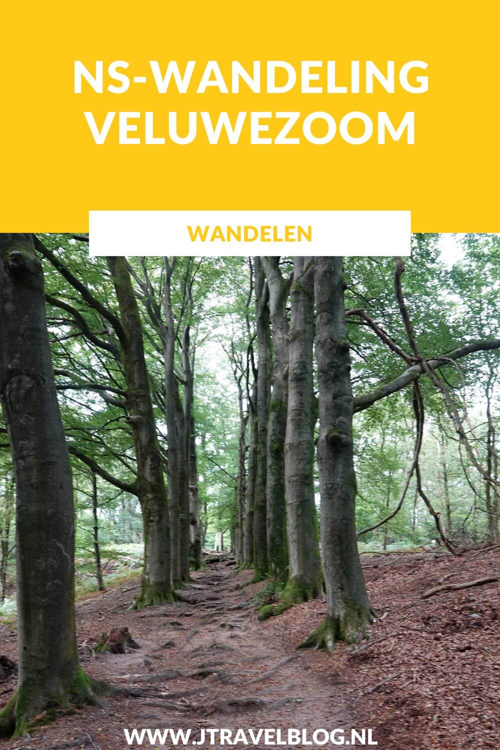 Ik maakte de NS-wandeling Veluwezoom van Dieren naar Rheden door de bossen en over de heide. De afstand van deze mooie wandeling is 11 kilometer. Mijn belevenissen lees je in deze blog. Loop je mee? #nswandeling #dieren #rheden #nationaalparkveluwezoom #wandelen #hiken #jtravel #jtravelblog