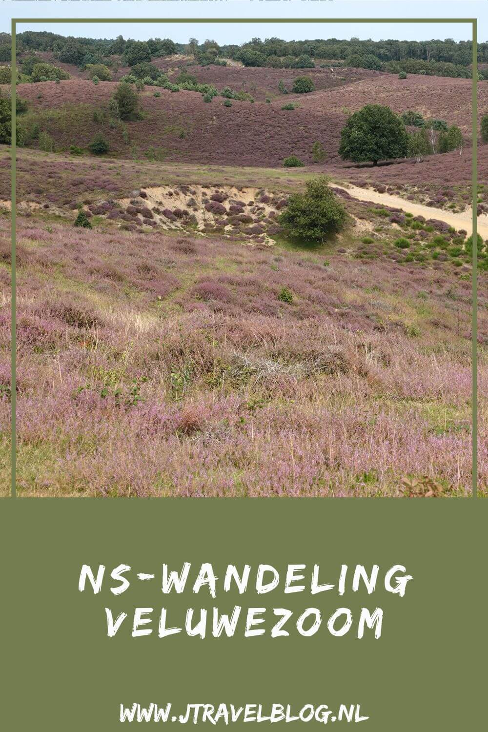 Ik maakte de NS-wandeling Veluwezoom van Dieren naar Rheden door de bossen en over de heide. De afstand van deze mooie wandeling is 11 kilometer. Mijn belevenissen lees je in deze blog. Loop je mee? #nswandeling #dieren #rheden #nationaalparkveluwezoom #wandelen #hiken #jtravel #jtravelblog