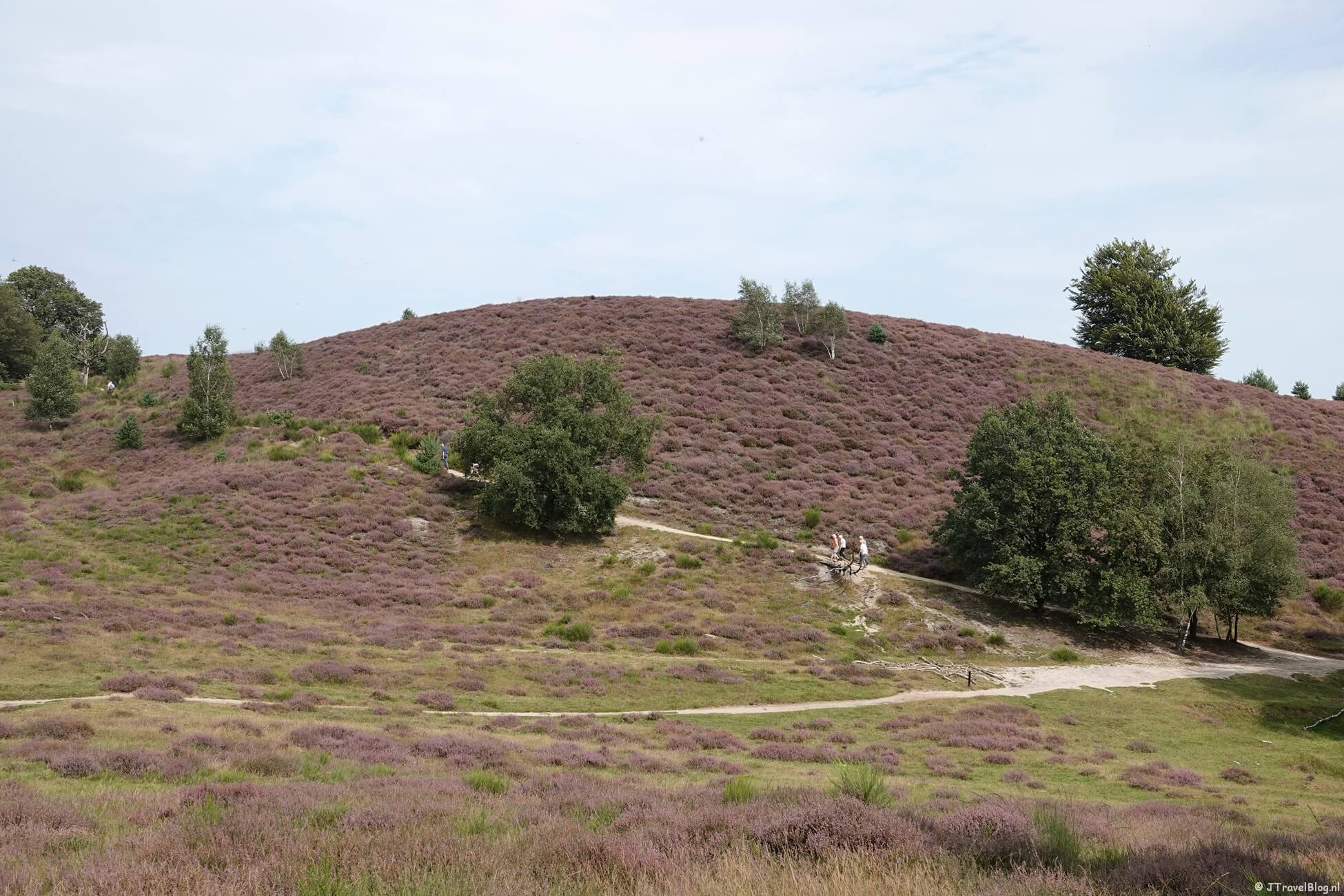 NS-wandeling Veluwezoom van Dieren naar Rheden