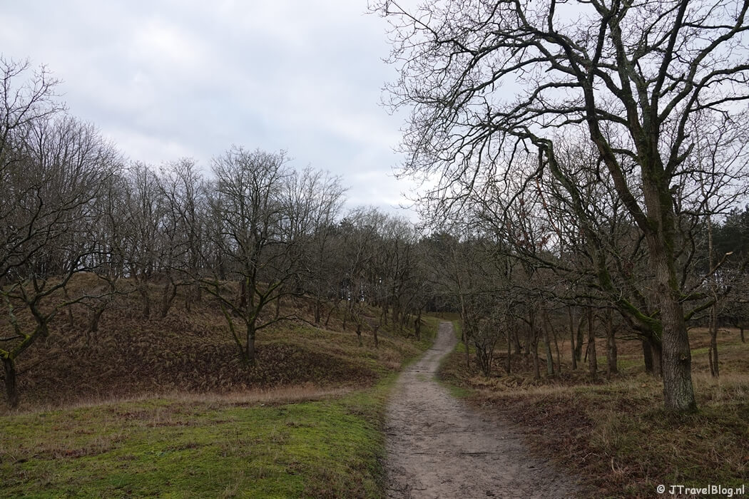 Een wandelpad tijdens de gele wandelroute Oranjekom vanaf ingang Oase in de Amsterdamse Waterleidingduinen