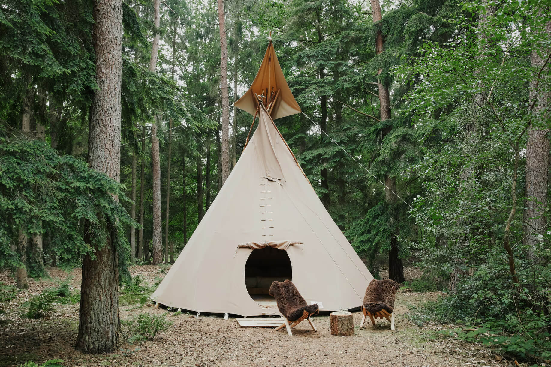 Overnachten in een tipitent of op een glamping : een tipitent in Renkum – Gelderland