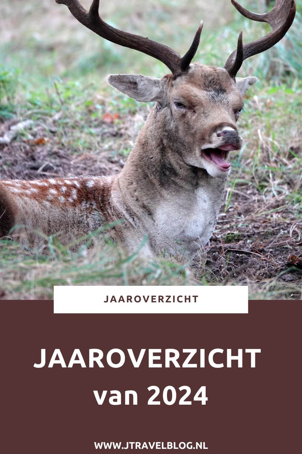 In deze blog kijk ik terug op het jaar 2024. Ik heb veel uitstapjes gemaakt, veel gewandeld en gefietst en 15 musea bezocht. Meer lezen over 2024? Ik heb alles per maand voor je op een rijtje gezet. Lees je mee? #jaaroverzicht2024 #jaaroverzicht #2024 #jtravel #jtravelblog