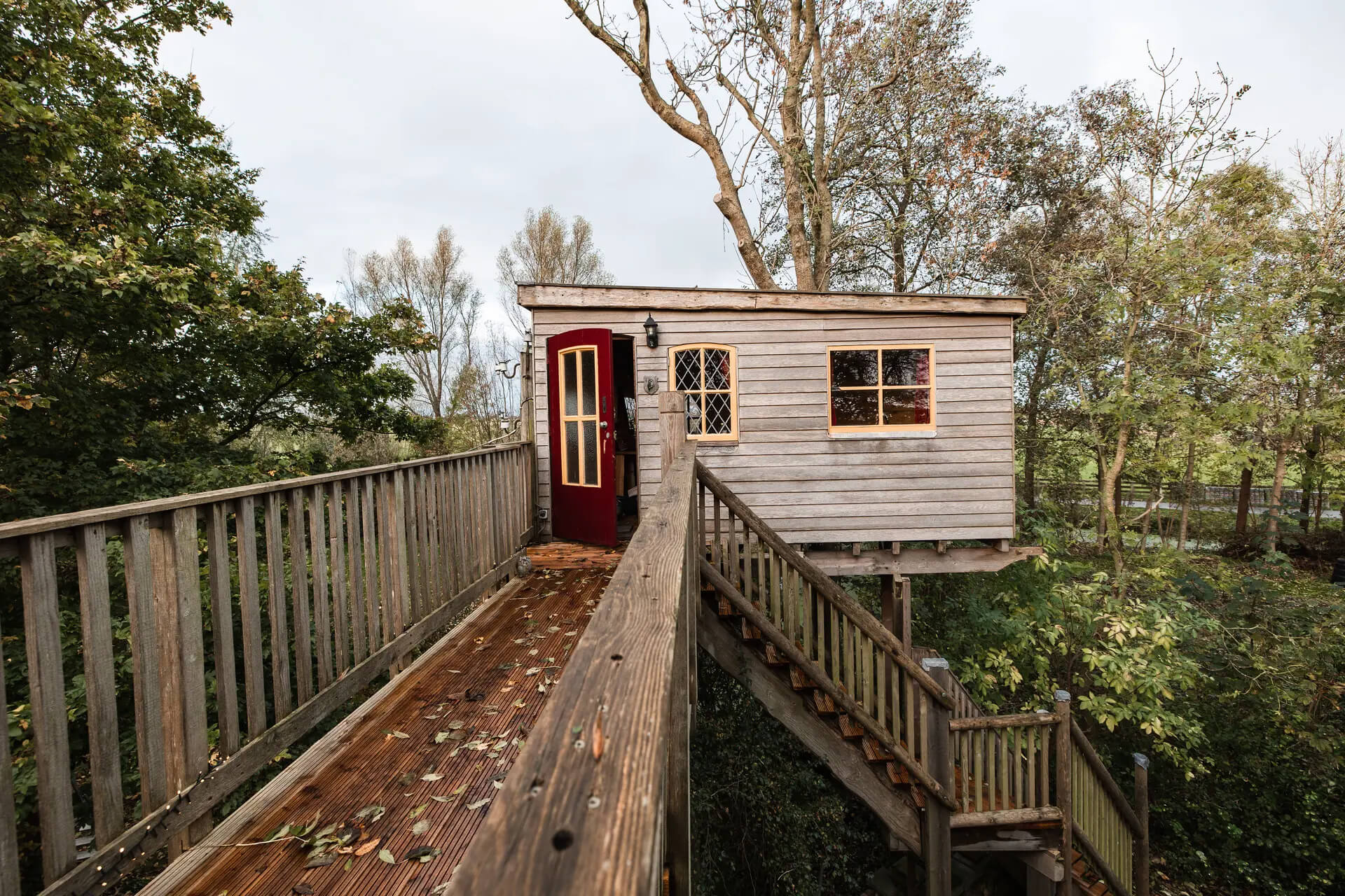 De leukste tiny houses in Nederland : Boomhut in Zuid-West Friesland - Friesland
