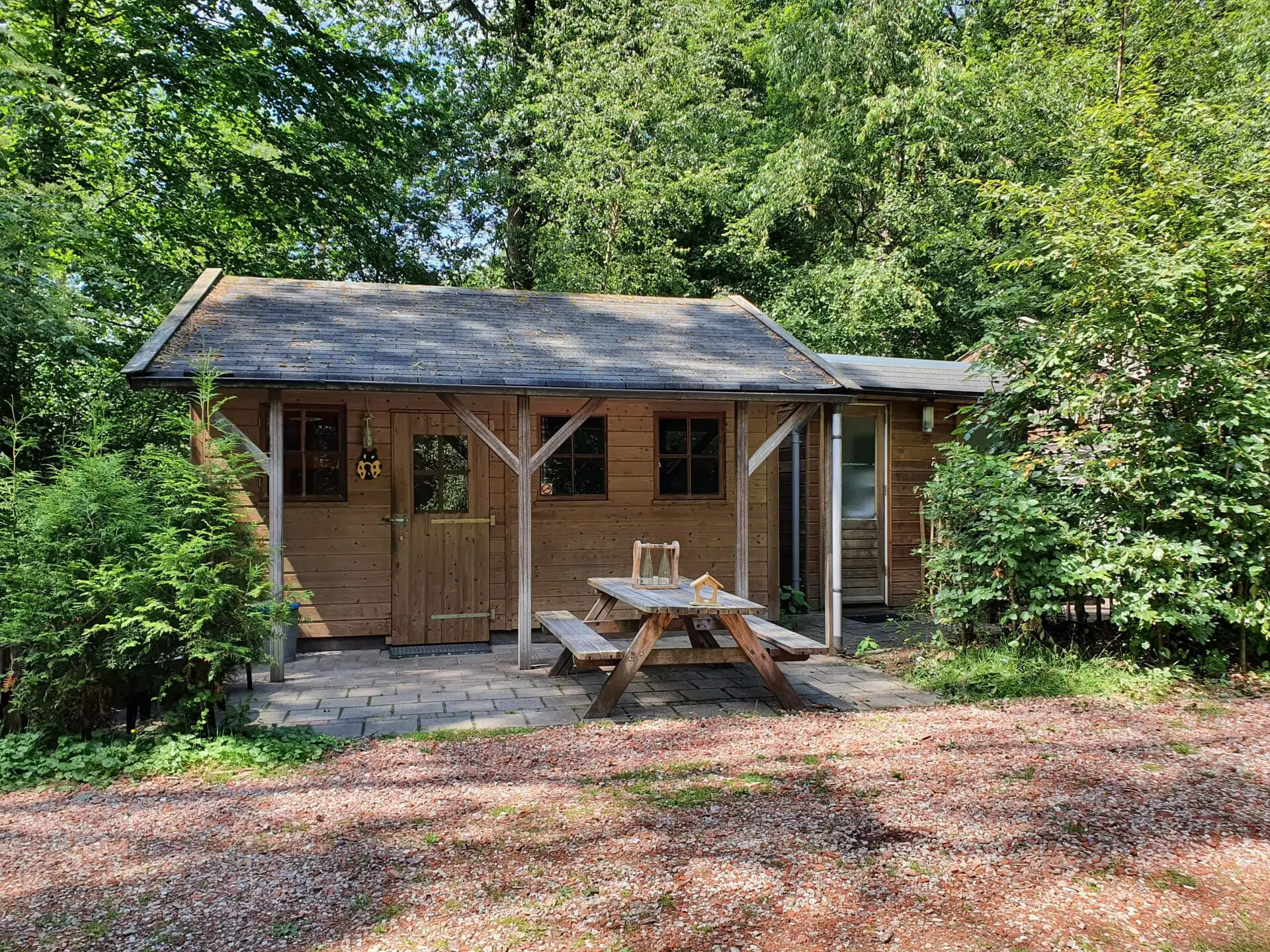De leukste tiny houses in Nederland : Boshuisje in Diever - Drenthe