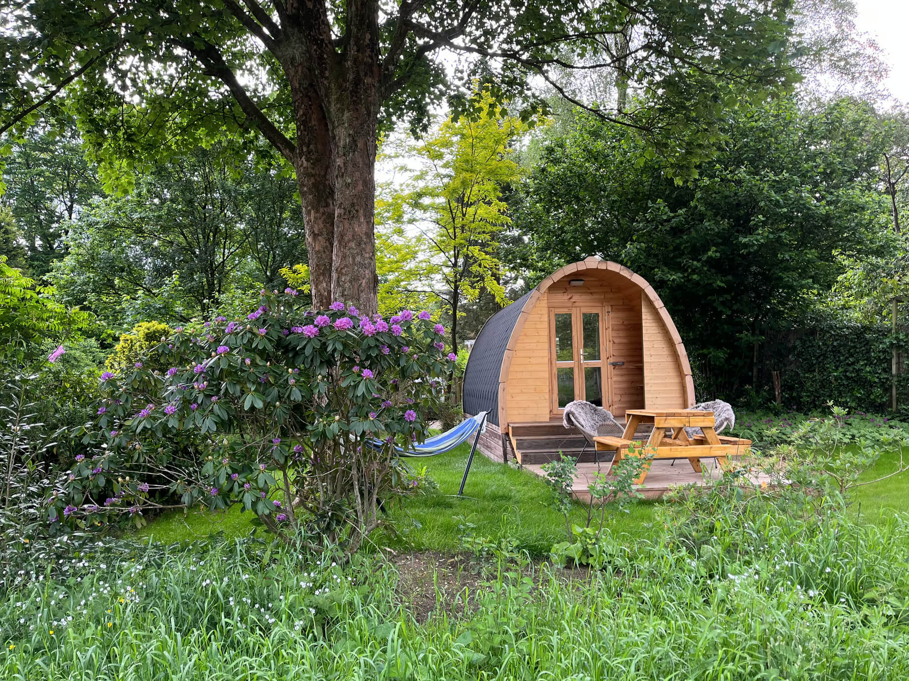De leukste tiny houses in Nederland : Lodge in Rheden - Gelderland