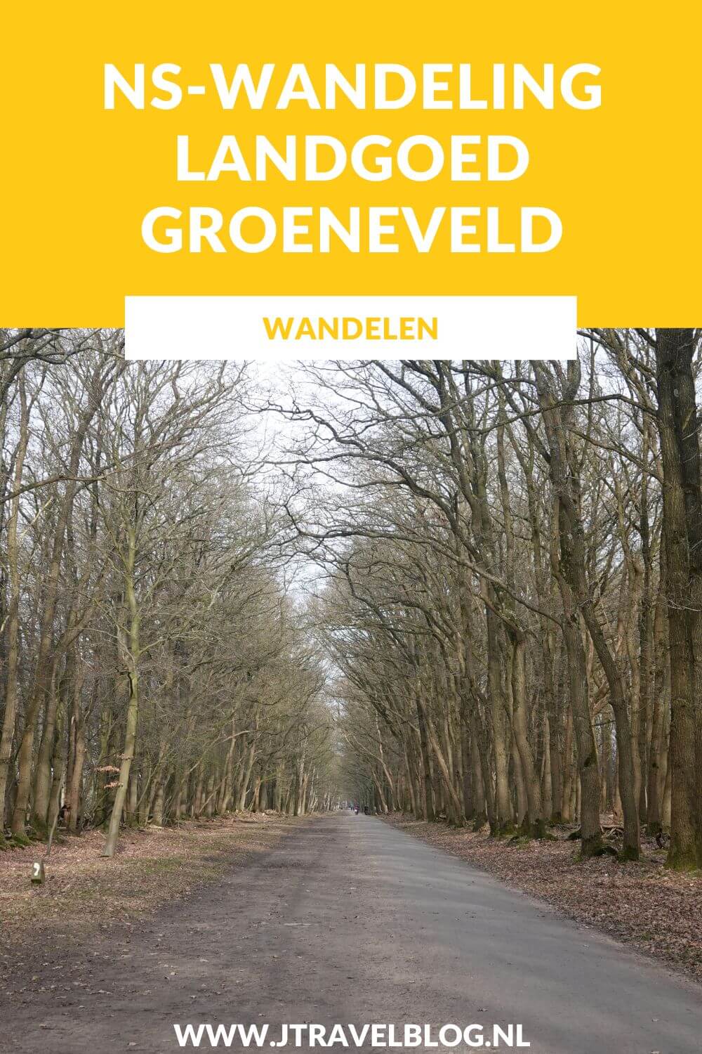 Ik maakte de NS-wandeling Landgoed Groeneveld van Station Baarn naar Station Hilversum Media Park door de bossen, over Landgoed Groeneveld en over de heide. De afstand van deze mooie wandeling is 15 kilometer. Mijn belevenissen lees je in deze blog. Loop je mee? #nswandeling #landgoedgroeneveld #baarn #hilversum #wandelen #hiken #jtravel #jtravelblog