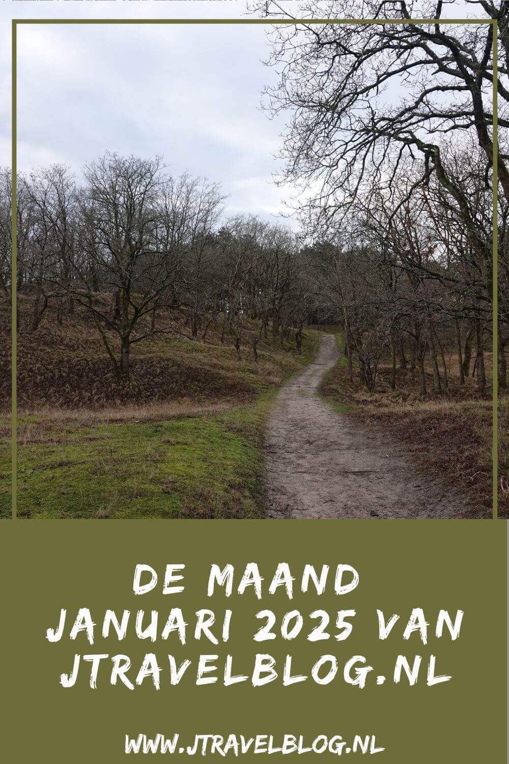 In januari 2025 maakte ik een wandeling in de Amsterdamse Waterleidingduinen en bezocht ik twee musea in Leiden. Meer hier over lees je in dit maandoverzicht. #maandoverzicht #januari2025 #amsterdamsewaterleidingduinen #wandelen #leiden #jtravel #jtravelblog