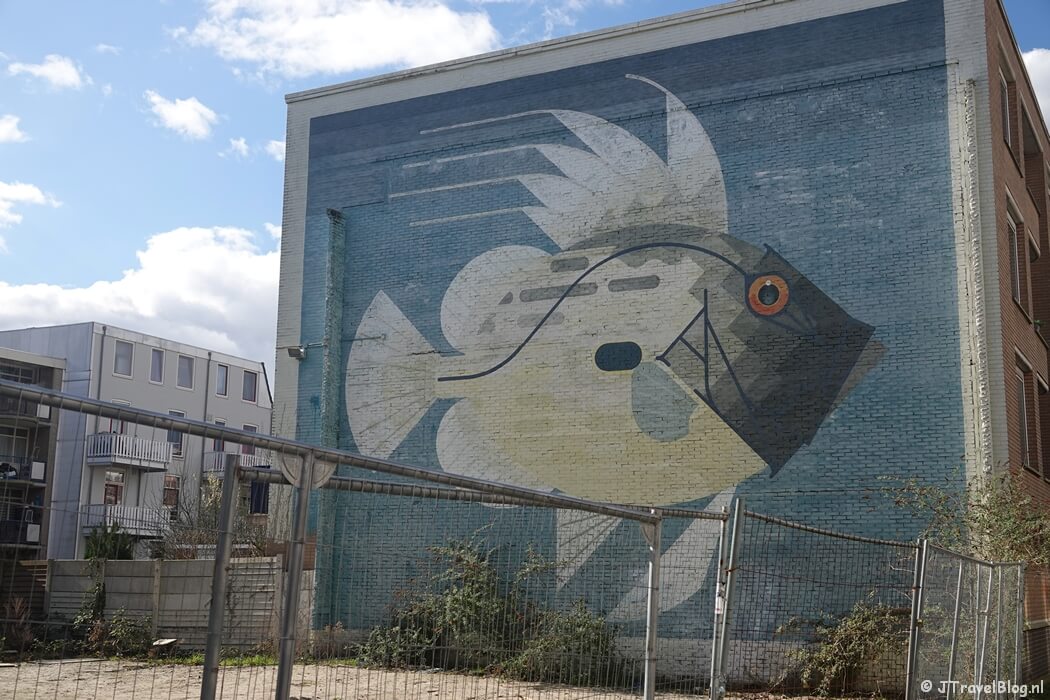 Street art van Amok Island tijdens mijn street art wandeling in Rotterdam-Noord
