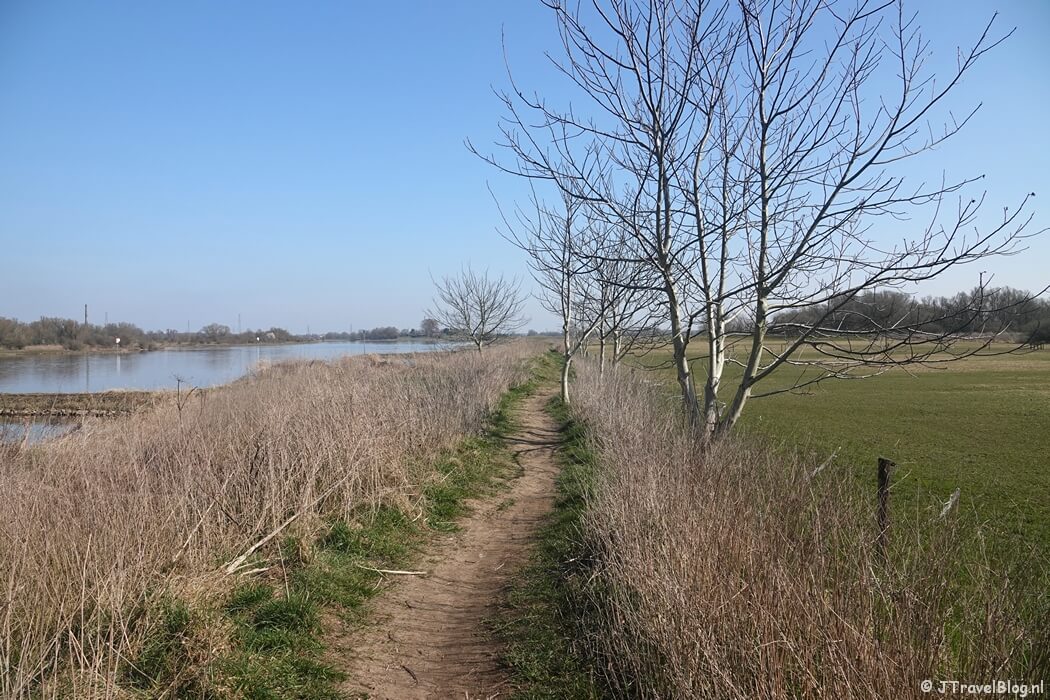 De uiterwaarden van de Nederrijn tijdens etappe 2 van het Pad van de Vrijheid van Rhenen naar Opheusden
