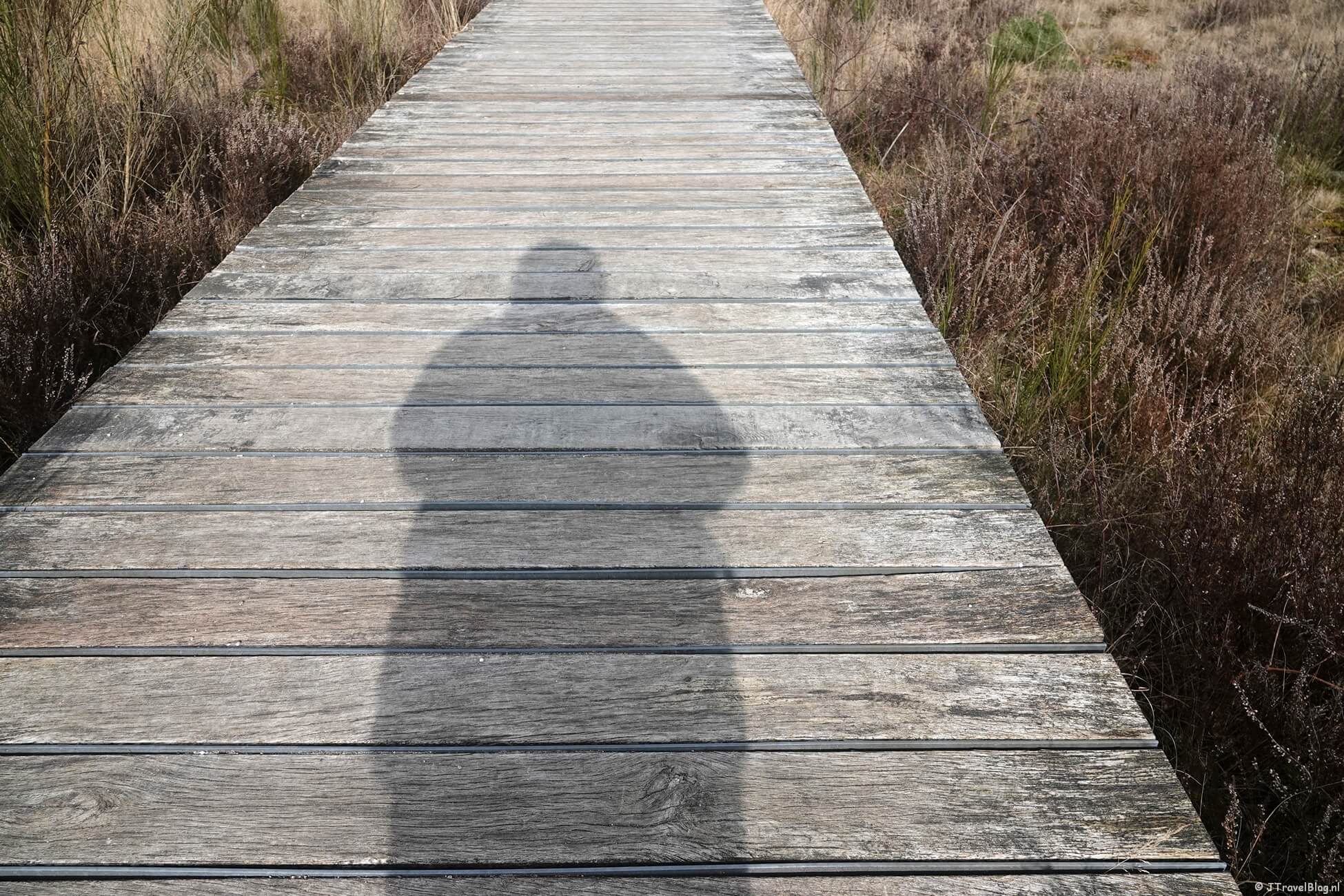 Maandoverzicht maart 2025