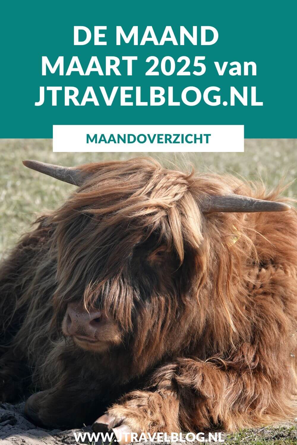 In maart 2025 maakte ik een Kort & Prachtig wandeling op Vliegveld Soesterberg, maakte ik een streetart wandeling in Rotterdam, liep ik de tweede etappe van het Pad van de Vrijheid en bezocht ik Lentevreugd. Meer hier over lees je in dit maandoverzicht. #maandoverzicht #maart2025 #vliegveldsoesterberg #streetart #rotterdam #lentevreugd #kersenbloesem #padvandevrijheid #wandelen #jtravelblog #jtravel