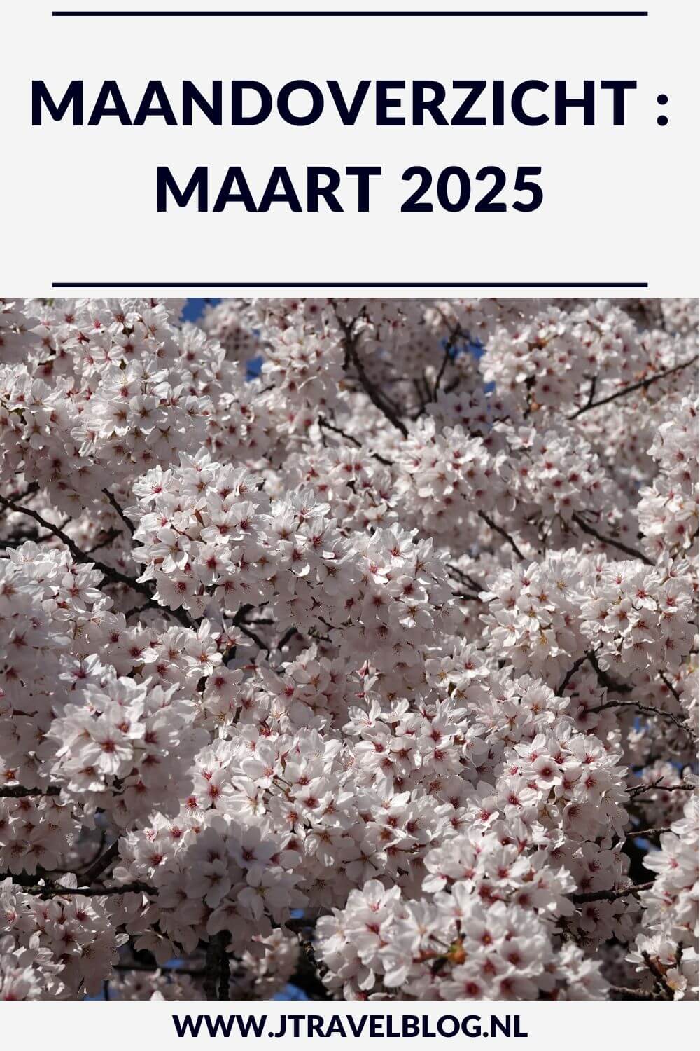 In maart 2025 maakte ik een Kort & Prachtig wandeling op Vliegveld Soesterberg, maakte ik een streetart wandeling in Rotterdam, liep ik de tweede etappe van het Pad van de Vrijheid en bezocht ik Lentevreugd. Meer hier over lees je in dit maandoverzicht. #maandoverzicht #maart2025 #vliegveldsoesterberg #streetart #rotterdam #lentevreugd #kersenbloesem #padvandevrijheid #wandelen #jtravelblog #jtravel