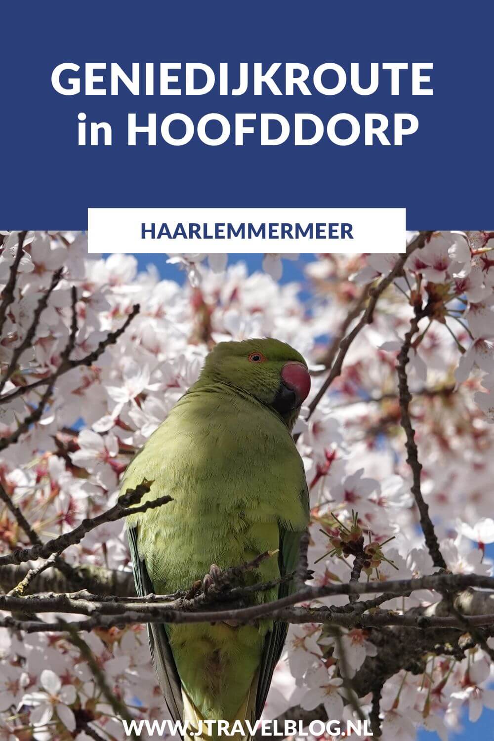 Ik liep de Geniedijkroute in Hoofddorp, een wandelroute van Wandelnetwerk Noord-Holland met een lengte van 10,61 kilometer. Wandel je mee? #geniedijk #buitenschot #hoofddorp #wandelnetwerknoordholland #wandelen #jtravelblog #jtravel