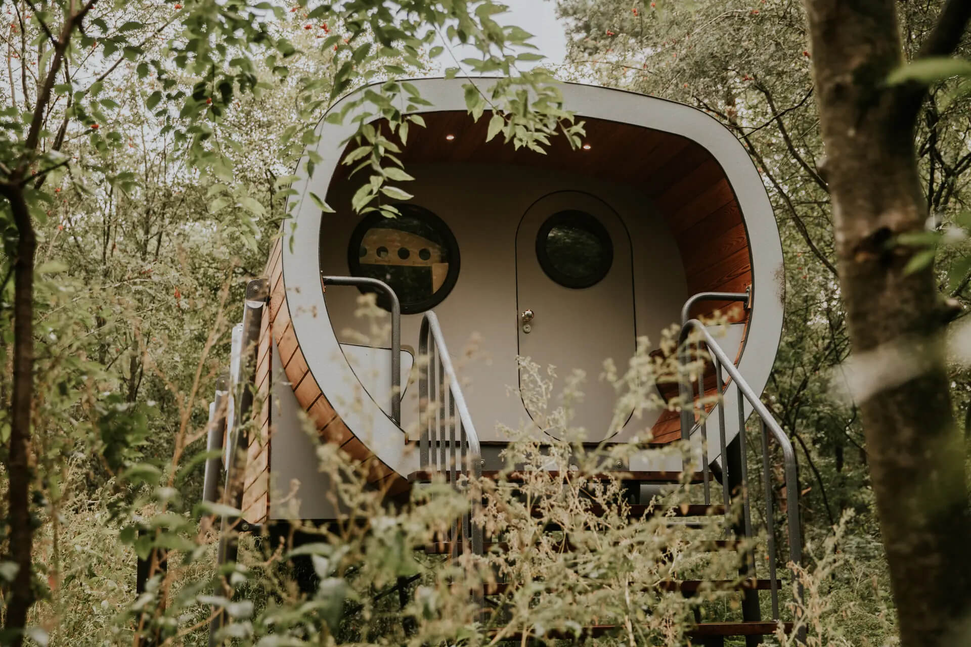 Overnachten in een boomhut in Nederland : Boomhut in Balkbrug - Overijssel