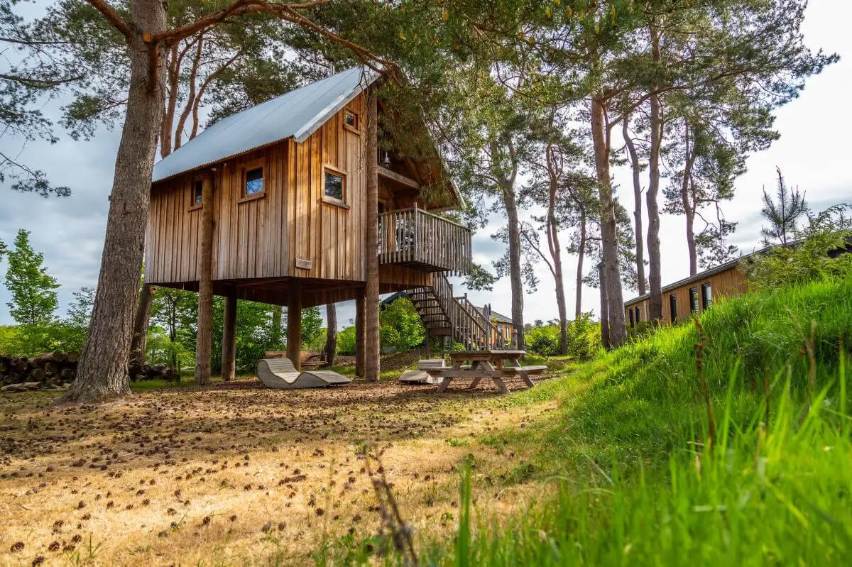 Overnachten in een boomhut in Nederland : Boomhut in Ede - Gelderland