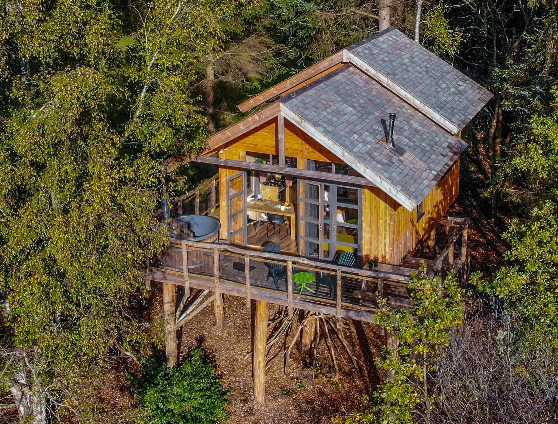 Overnachten in een boomhut in Nederland : Boomhut in Ruinen - Drenthe