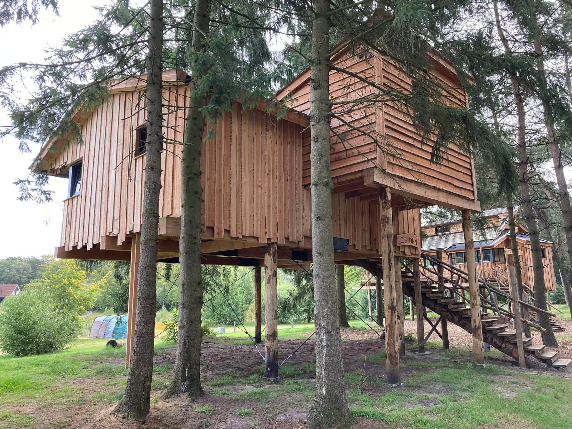 Overnachten in een boomhut in Nederland : Boomhut in Westerbork - Drenthe