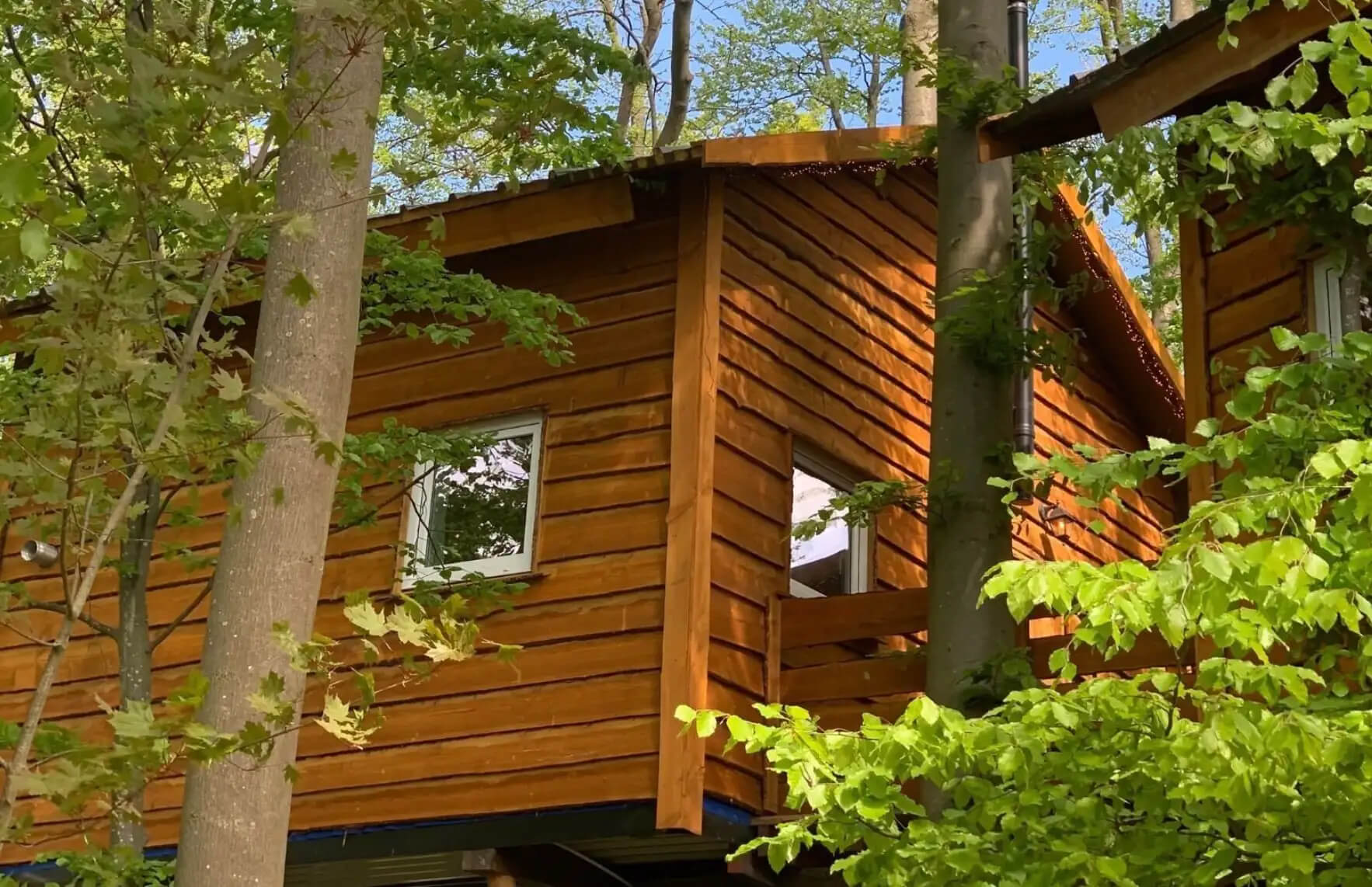 Overnachten in een boomhut in Nederland : Boomvilla in Wieringerwerf - Noord-Holland