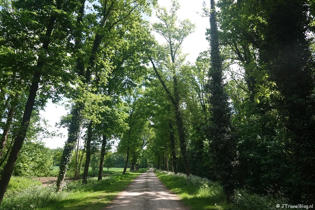 Een onverhard pad op Landgoed Loenen tijdens etappe 4 van het Pad van de Vrijheid van Herveld naar Valburg
