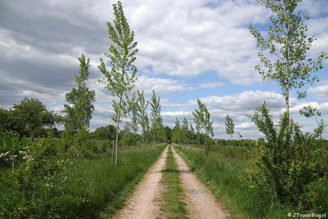 De Mellardsestraat buiten Valburg tijdens etappe 4 van het Pad van de Vrijheid van Herveld naar Valburg