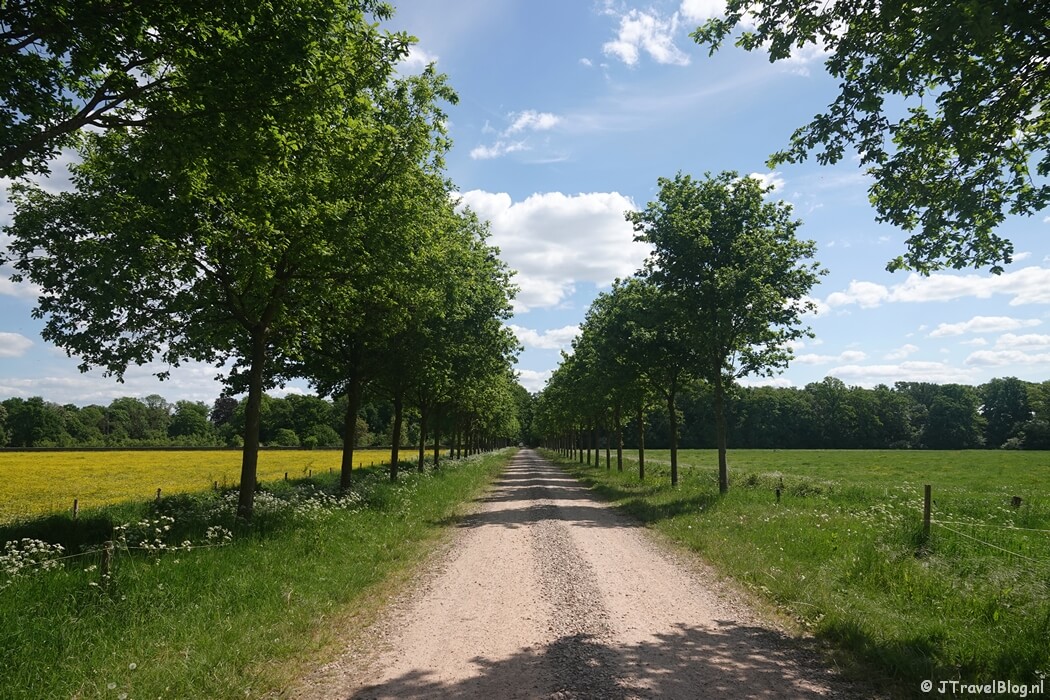 Een onverhard pad op Landgoed Loenen tijdens etappe 4 van het Pad van de Vrijheid van Herveld naar Valburg
