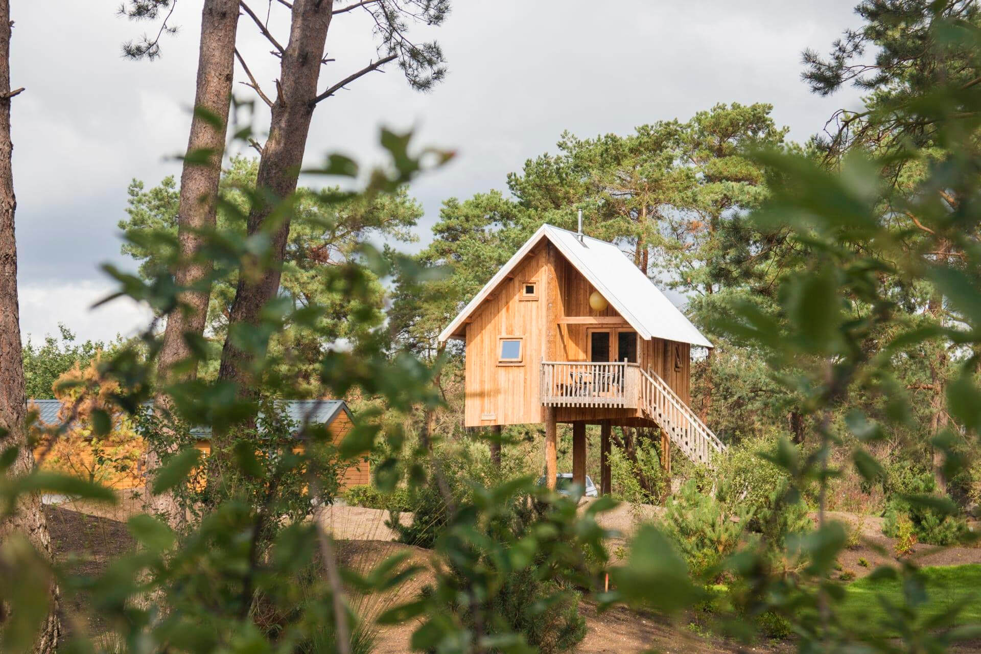 Overnachten in een boomhut in Nederland : Zwerfhut in Otterlo - Gelderland
