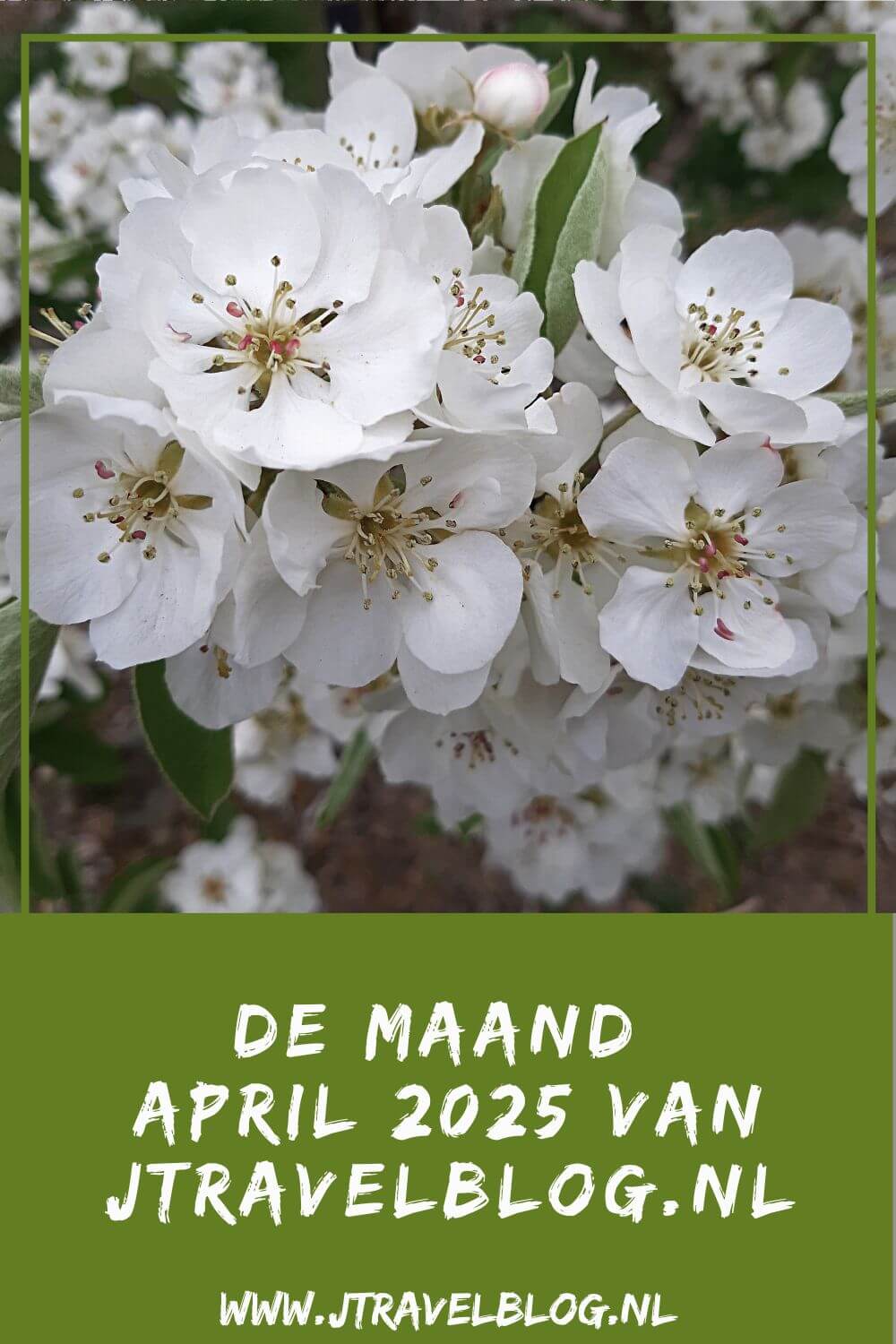 In april 2025 liep ik de Geniedijkroute in Hoofddorp en liep ik de derde etappe van het Pad van de Vrijheid. De rest van april verbleef ik in Groningen. Meer hier over lees je in dit maandoverzicht. #maandoverzicht #april2025 #padvandevrijheid #wandelen #jtravelblog #jtravel