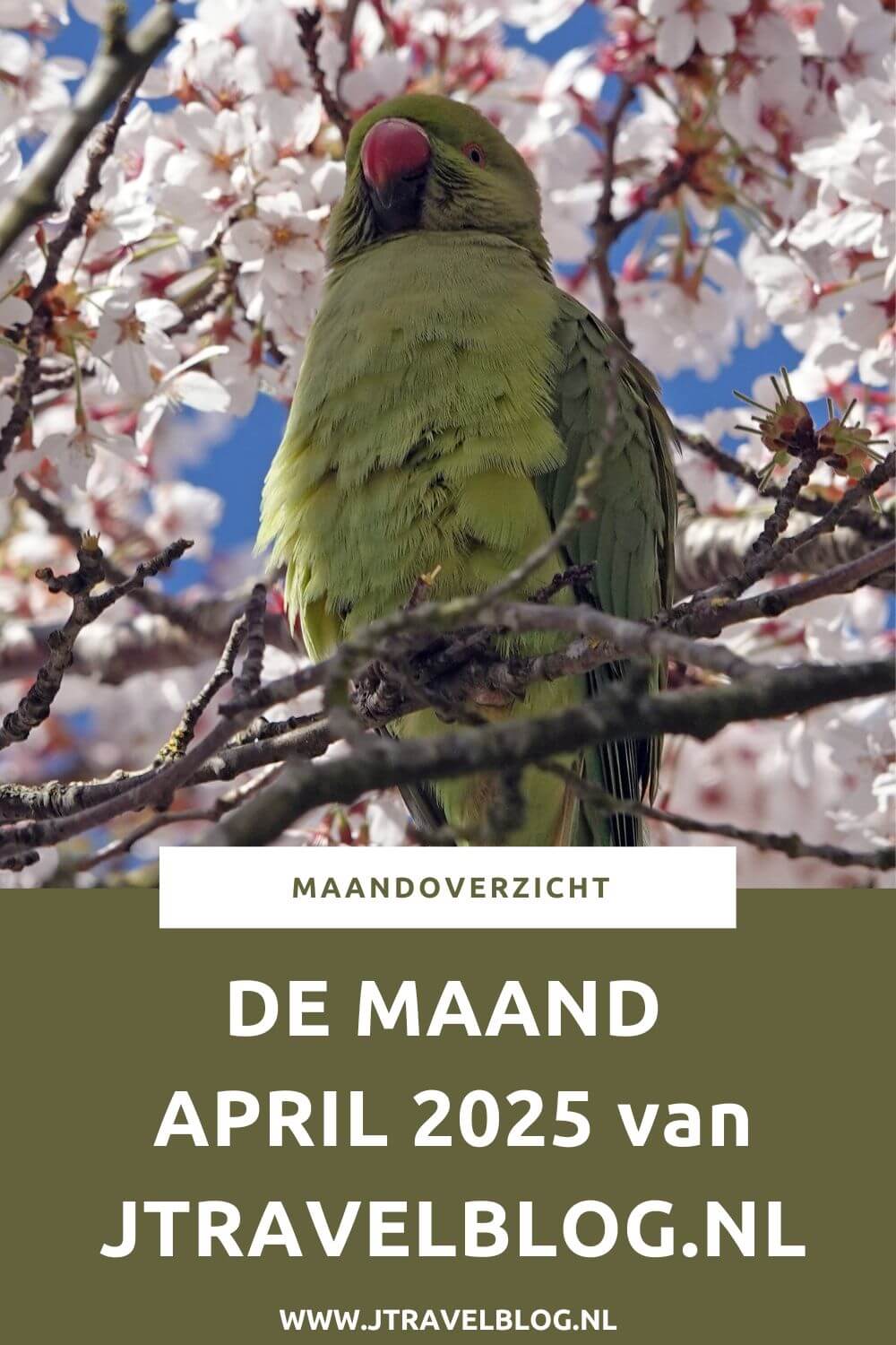 In april 2025 liep ik de Geniedijkroute in Hoofddorp en liep ik de derde etappe van het Pad van de Vrijheid. De rest van april verbleef ik in Groningen. Meer hier over lees je in dit maandoverzicht. #maandoverzicht #april2025 #padvandevrijheid #wandelen #jtravelblog #jtravel