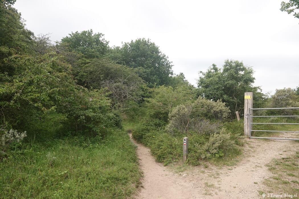 Nationaal Park Zuid-Kennemerland tijdens mijn NS-wandeling Kennemerduinen