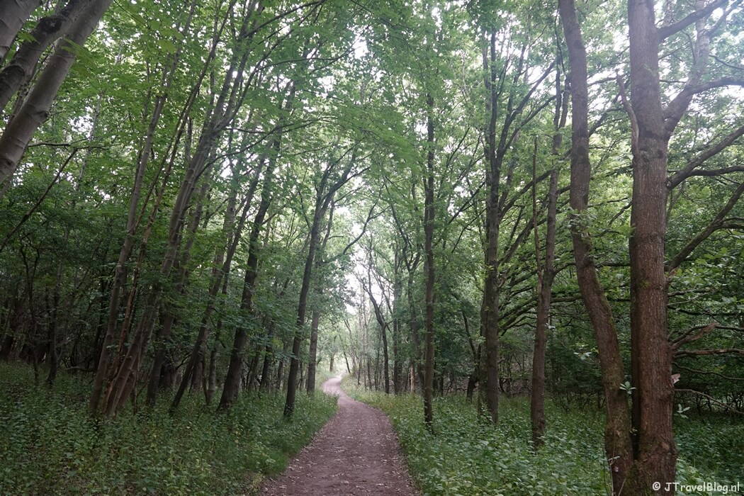 Nationaal Park Zuid-Kennemerland tijdens mijn NS-wandeling Kennemerduinen