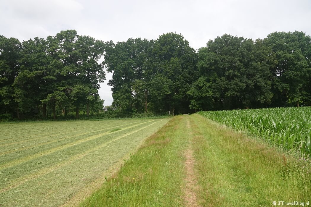 Een graspad tijdens etappe 7 van het Pad van de Vrijheid rond Oosterbeek
