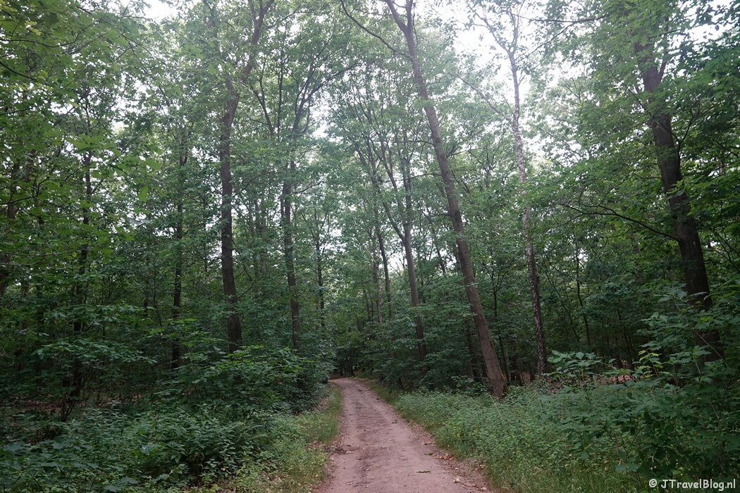 Een wandelpad tijdens etappe 7 van het Pad van de Vrijheid rond Oosterbeek