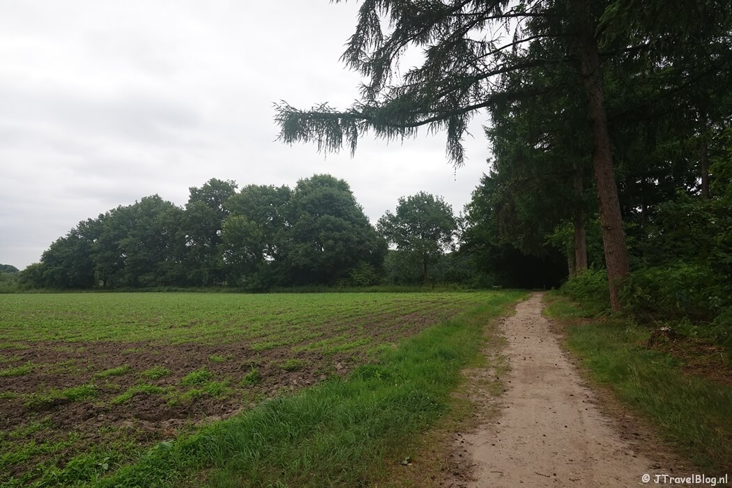 Een wandelpad op Landgoed Lichtenbeek tijdens etappe 7 van het Pad van de Vrijheid rond Oosterbeek