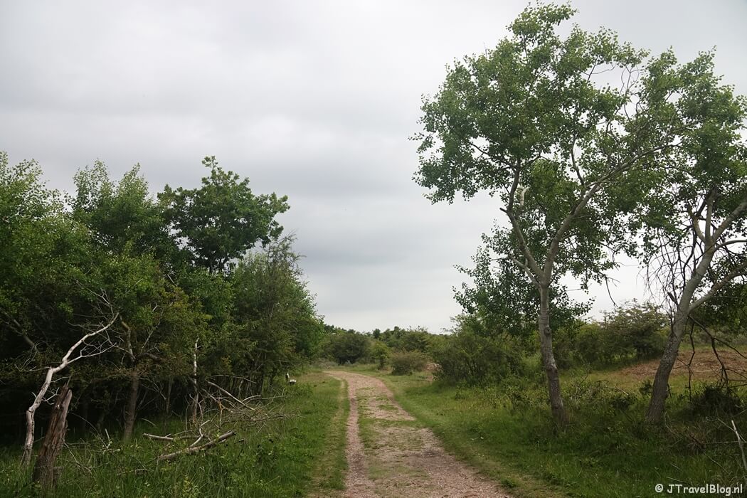 Nationaal Park Zuid-Kennemerland tijdens mijn NS-wandeling Kennemerduinen