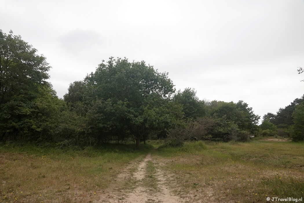 Nationaal Park Zuid-Kennemerland tijdens mijn NS-wandeling Kennemerduinen