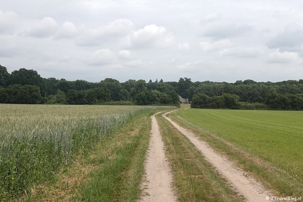 Een wandelpad tijdens etappe 7 van het Pad van de Vrijheid rond Oosterbeek