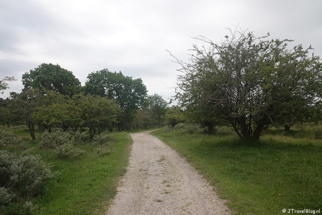 Nationaal Park Zuid-Kennemerland vanaf het strand tijdens mijn NS-wandeling Kennemerduinen
