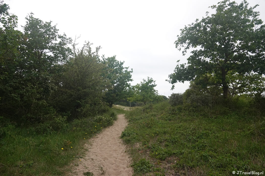 Nationaal Park Zuid-Kennemerland tijdens mijn NS-wandeling Kennemerduinen