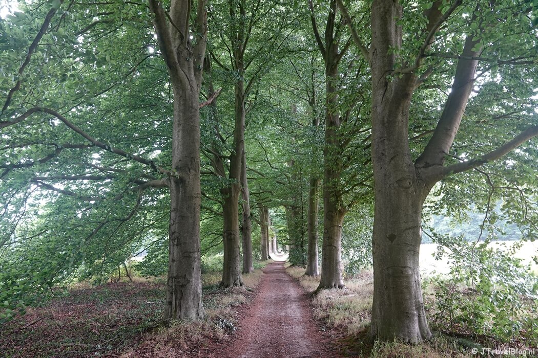 Landgoed Lichtenbeek tijdens etappe 7 van het Pad van de Vrijheid rond Oosterbeek