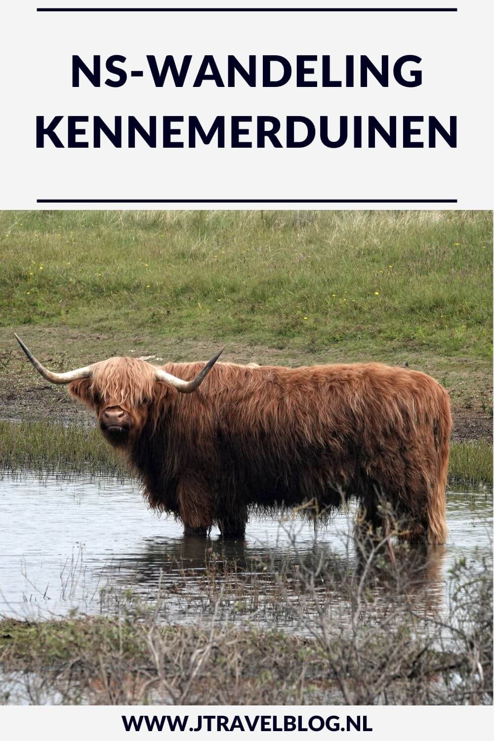 Ik maakte de NS-wandeling Kennemerduinen van Station Santpoort-Noord naar Station Overveen door Nationaal Park Zuid-Kennemerland. De afstand van deze mooie wandeling is 16 kilometer. Mijn belevenissen lees je in deze blog. Loop je mee? #nswandeling #nationaalparkzuidkennemerland #wandelen #hiken #jtravel #jtravelblog