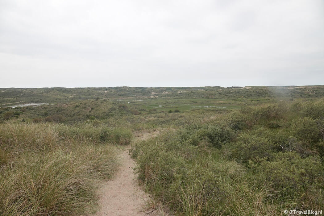 Nationaal Park Zuid-Kennemerland tijdens mijn NS-wandeling Kennemerduinen