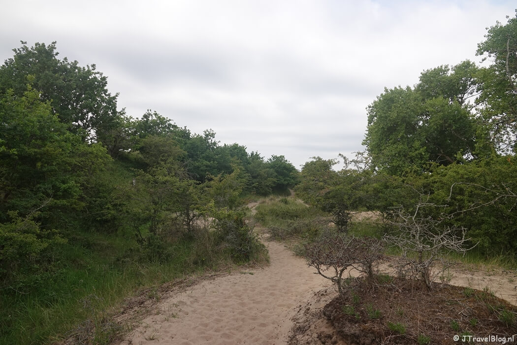 Nationaal Park Zuid-Kennemerland tijdens mijn NS-wandeling Kennemerduinen