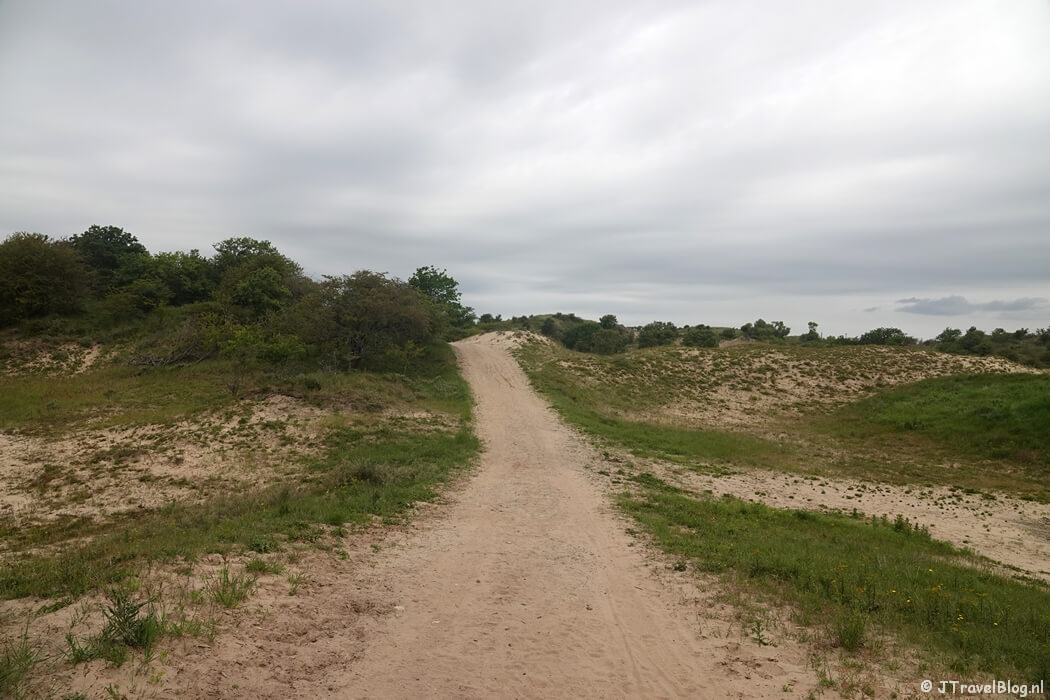 Nationaal Park Zuid-Kennemerland tijdens mijn NS-wandeling Kennemerduinen