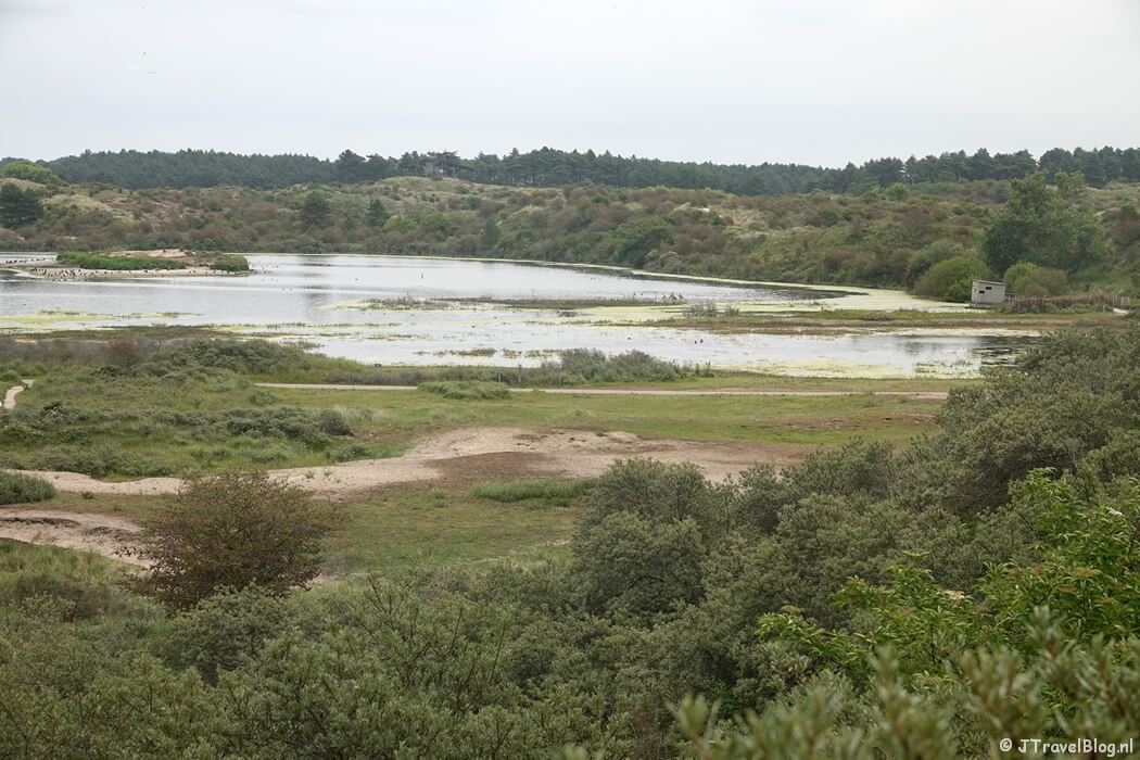 Uitzicht vanaf de Hazenberg in Nationaal Park Zuid-Kennemerland tijdens mijn NS-wandeling Kennemerduinen
