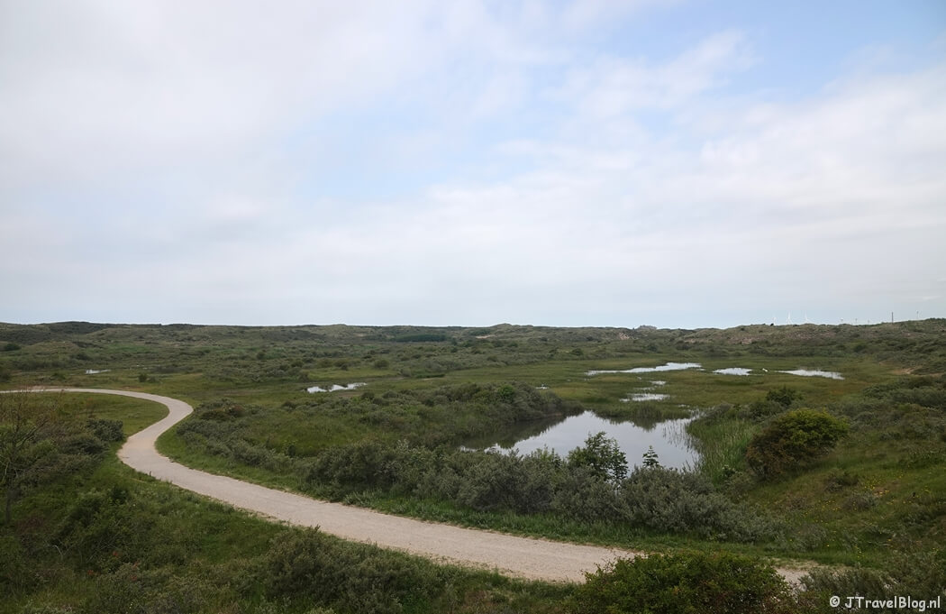Nationaal Park Zuid-Kennemerland tijdens mijn NS-wandeling Kennemerduinen